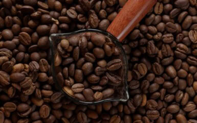 grão de café