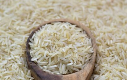 riz